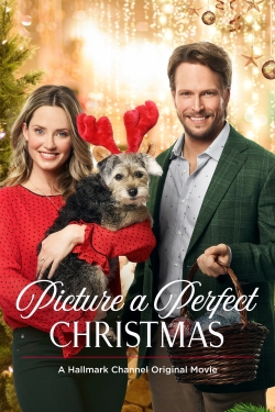 Watch Picture a Perfect Christmas movies free AniWave