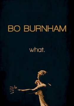 Watch Bo Burnham: What. movies free AniWave