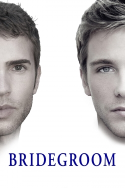 Watch Bridegroom movies free AniWave