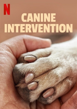 Watch Canine Intervention movies free AniWave