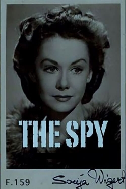 Watch The Spy movies free AniWave