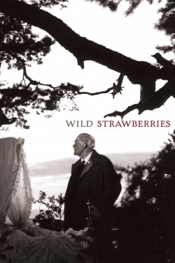 Watch Wild Strawberries movies free AniWave