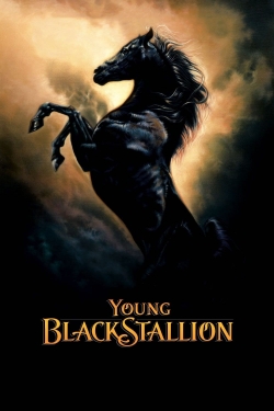 Watch Young Black Stallion movies free AniWave