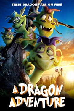 Watch A Dragon Adventure movies free AniWave