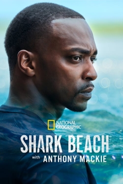 Watch Shark Beach with Anthony Mackie movies free AniWave