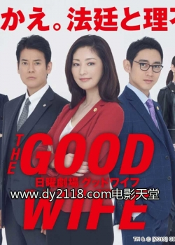 Watch The Good Wife movies free AniWave