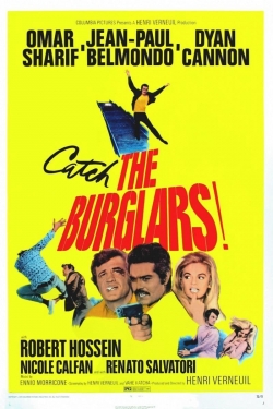 Watch The Burglars movies free AniWave