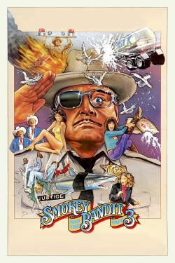 Watch Smokey and the Bandit Part 3 movies free AniWave