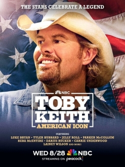 Watch Toby Keith: American Icon movies free AniWave