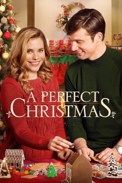 Watch A Perfect Christmas movies free AniWave