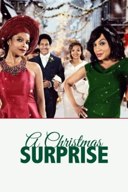 Watch A Christmas Surprise movies free AniWave