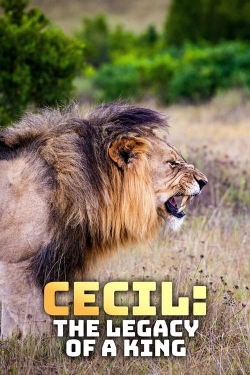 Watch Cecil: The Legacy of a King movies free AniWave