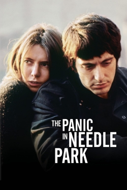 Watch The Panic in Needle Park movies free AniWave