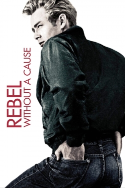 Watch Rebel Without a Cause movies free AniWave