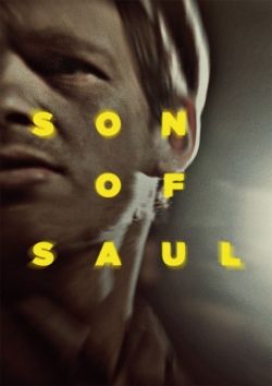 Watch Son of Saul movies free AniWave