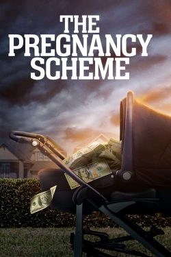 Watch The Pregnancy Scheme movies free AniWave