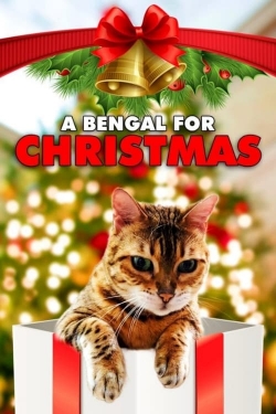 Watch A Bengal for Christmas movies free AniWave