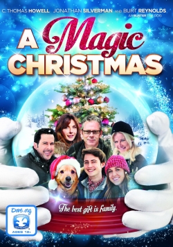 Watch A Magic Christmas movies free AniWave