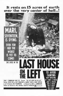 Watch The Last House on the Left movies free AniWave