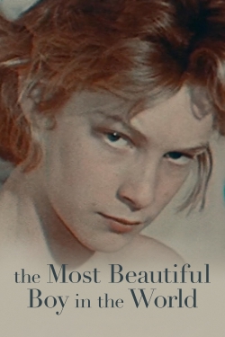 Watch The Most Beautiful Boy in the World movies free AniWave