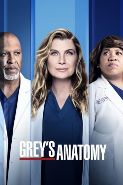 Watch Grey's Anatomy movies free AniWave