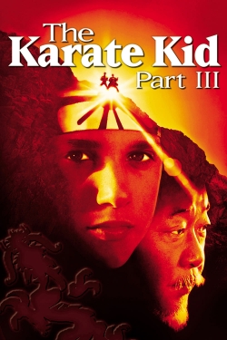 Watch The Karate Kid Part III movies free AniWave