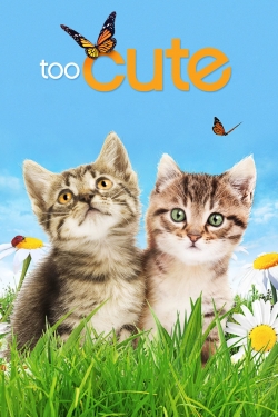 Watch Too Cute movies free AniWave