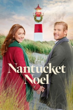 Watch Nantucket Noel movies free AniWave