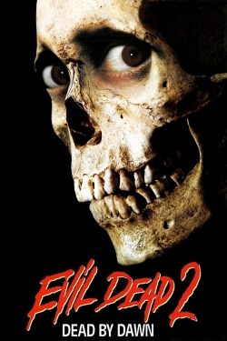 Watch Evil Dead II movies free AniWave