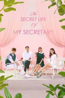 Watch The Secret Life of My Secretary movies free AniWave