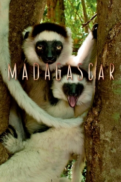 Watch Madagascar movies free AniWave