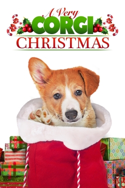 Watch A Very Corgi Christmas movies free AniWave