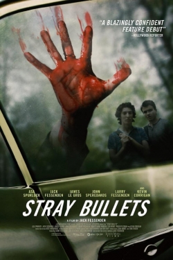 Watch Stray Bullets movies free AniWave