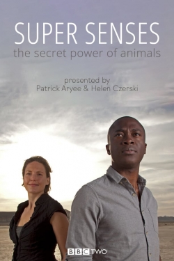 Watch Super Senses: The Secret Power of Animals movies free AniWave