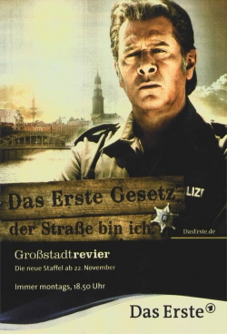 Watch Großstadtrevier movies free AniWave