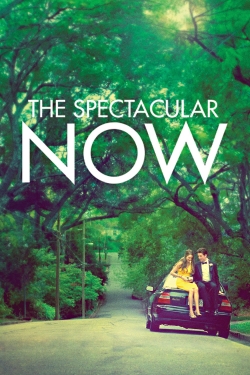 Watch The Spectacular Now movies free AniWave