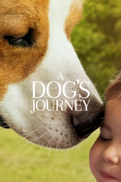 Watch A Dog's Journey movies free AniWave