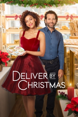 Watch Deliver by Christmas movies free AniWave