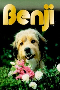 Watch Benji movies free AniWave