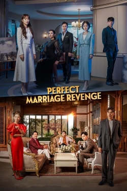 Watch Perfect Marriage Revenge movies free AniWave