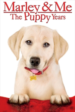 Watch Marley & Me: The Puppy Years movies free AniWave