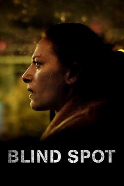 Watch Blind Spot movies free AniWave