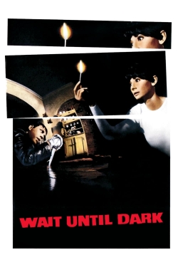 Watch Wait Until Dark movies free AniWave