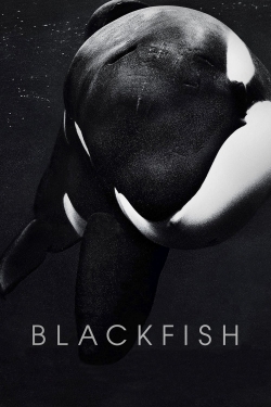 Watch Blackfish movies free AniWave