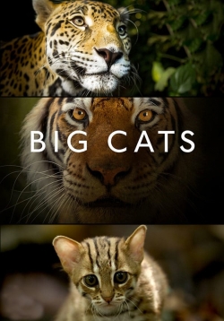 Watch Big Cats movies free AniWave