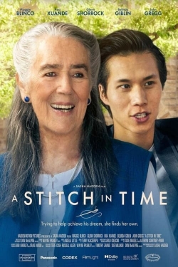 Watch A Stitch in Time movies free AniWave