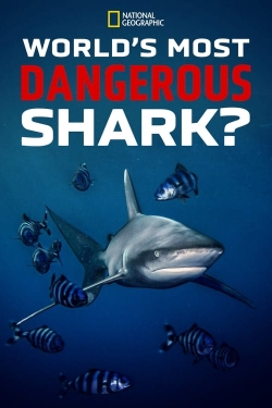 Watch World's Most Dangerous Shark? movies free AniWave