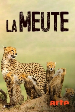 Watch La Meute Cinq guépards dans le Serengeti movies free AniWave