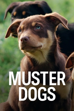 Watch Muster Dogs movies free AniWave