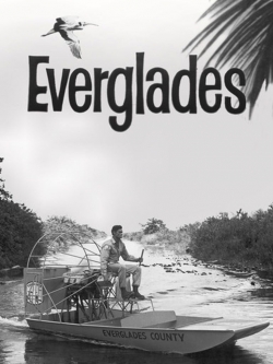 Watch Everglades movies free AniWave